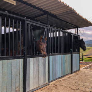 Pesebreras en ecomadera plástica