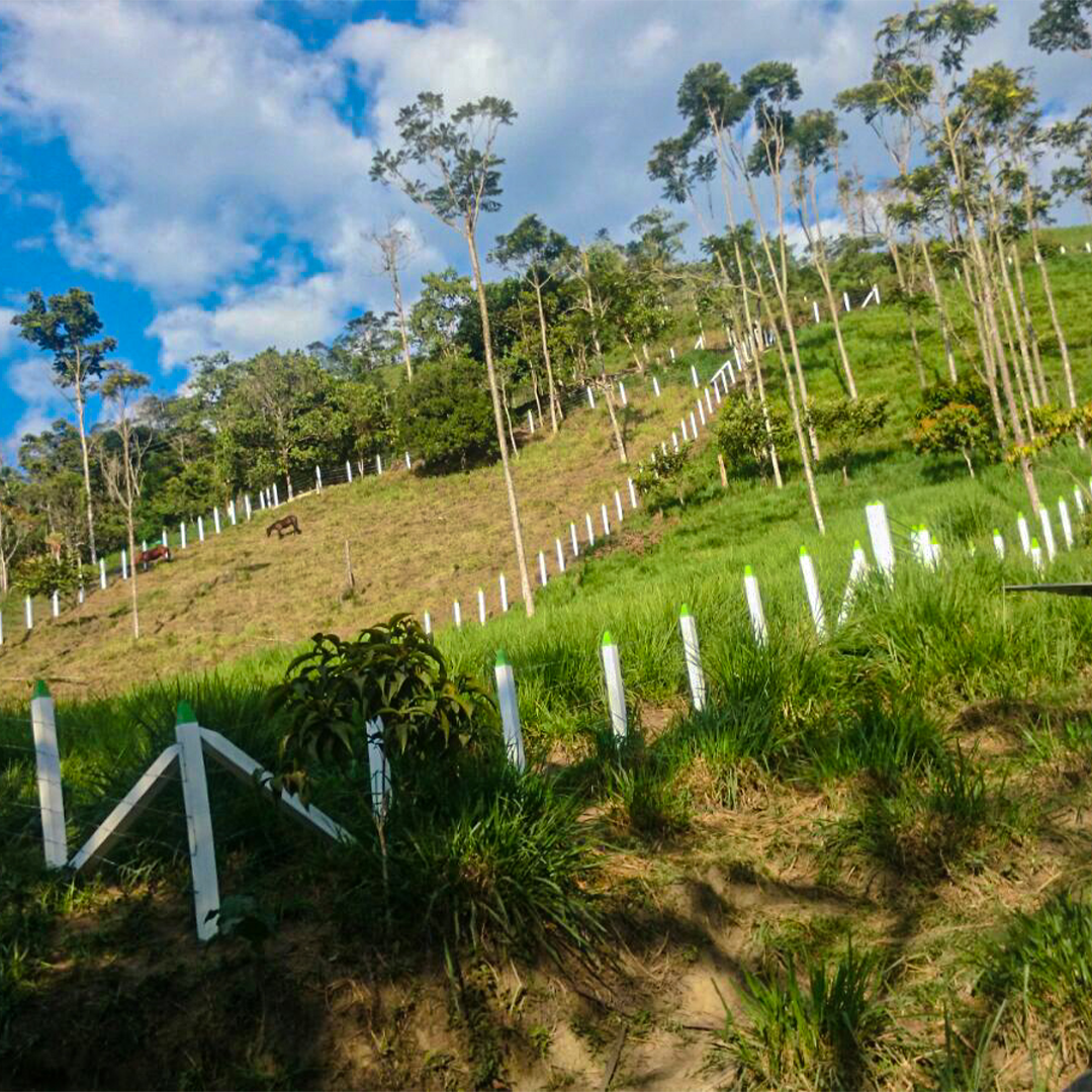 Postes en ecomadera plasticas para corrales y establos
