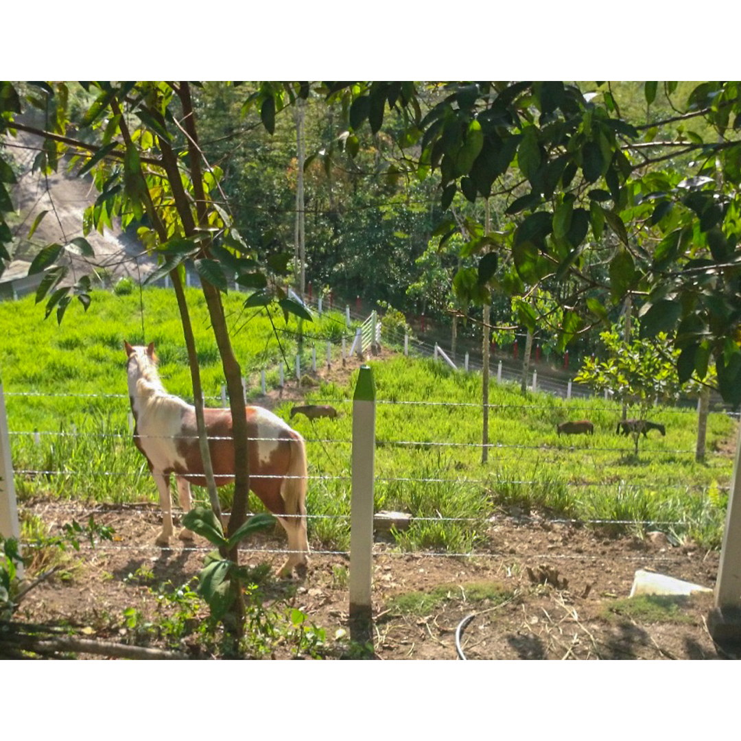 Postes en ecomadera plasticas para corrales y establos