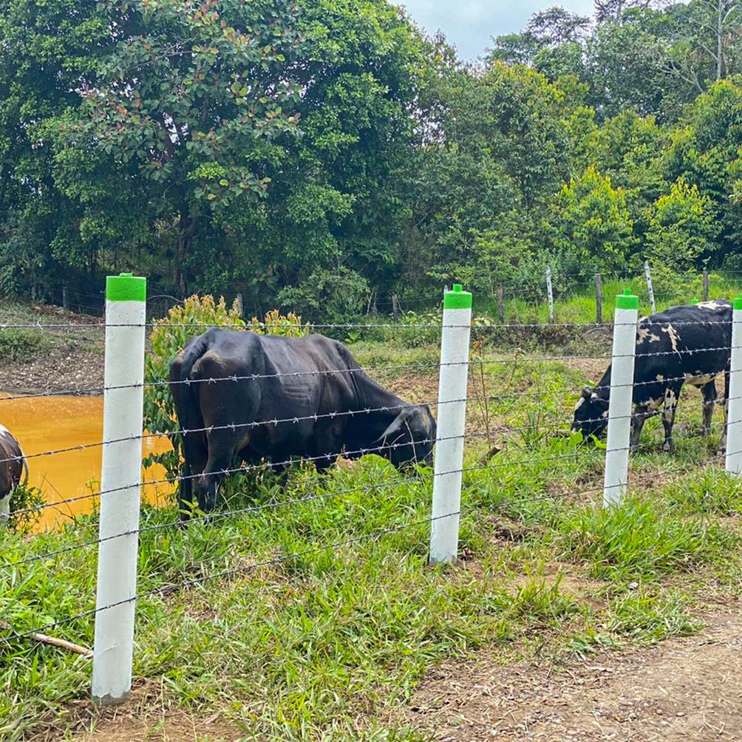 Postes en ecomadera plasticas para corrales y establos