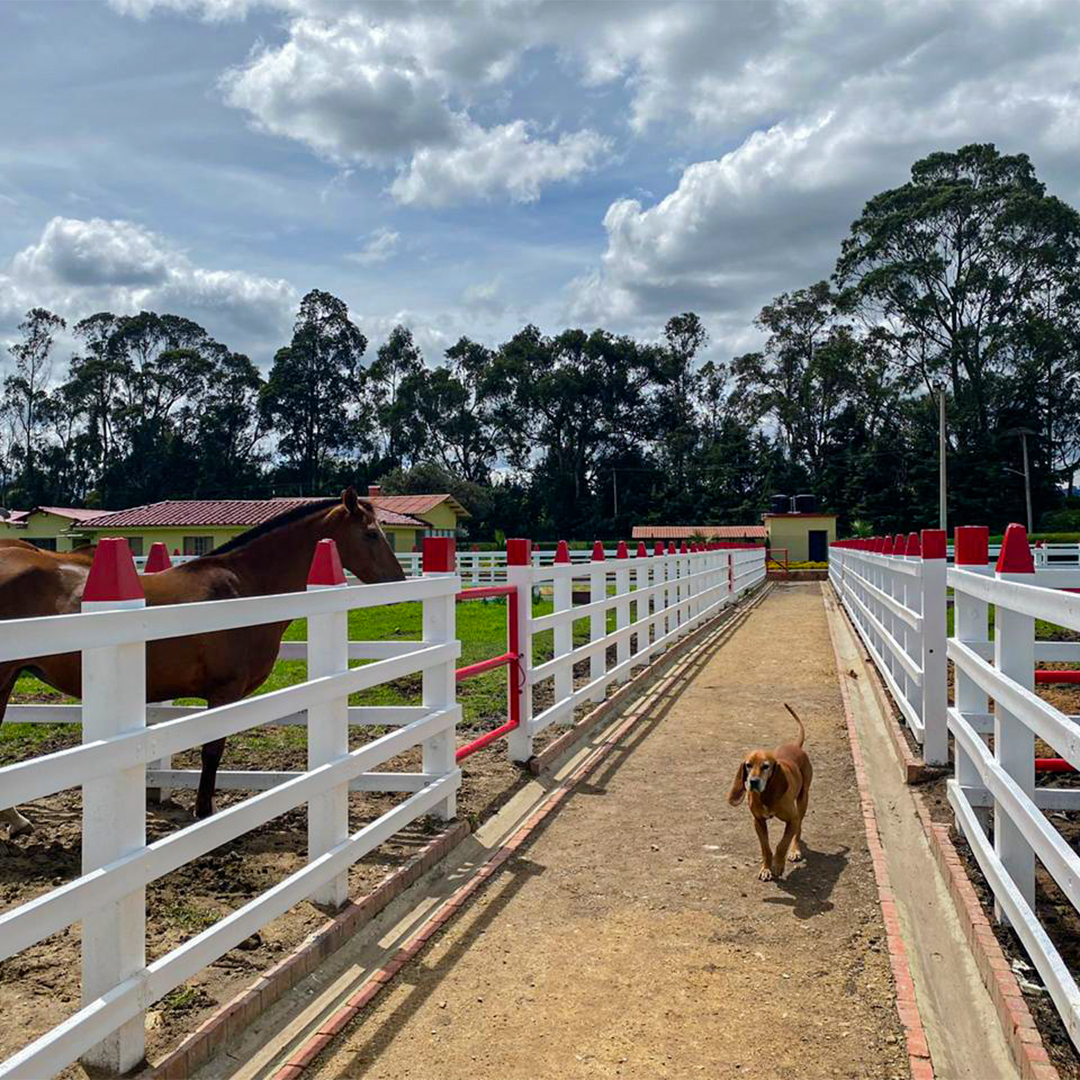 Postes en ecomadera plasticas para corrales y establos