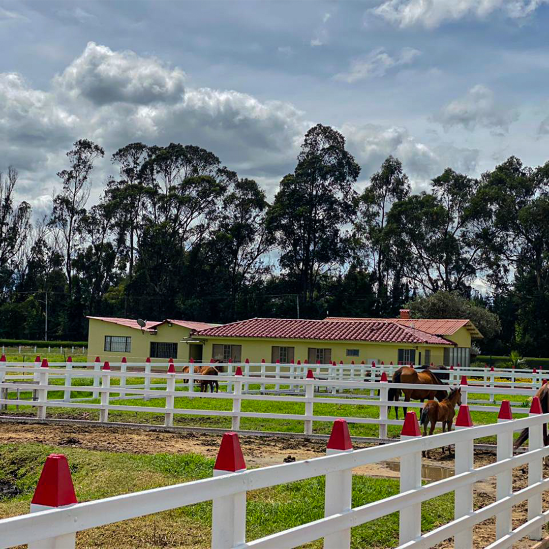 Postes en ecomadera plasticas para corrales y establos
