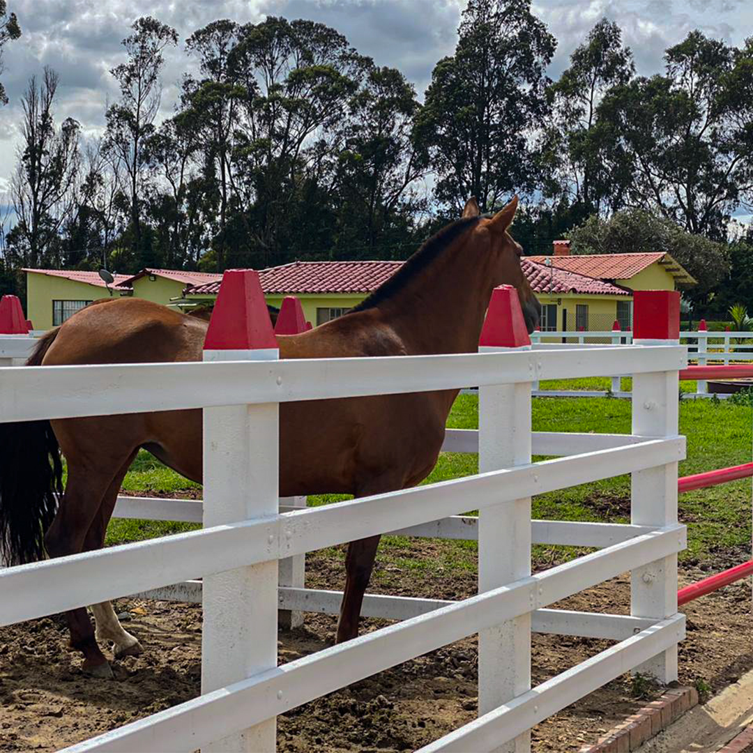 Postes en ecomadera plasticas para corrales y establos